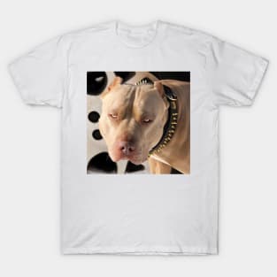 dog T-Shirt